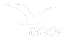 ANCV